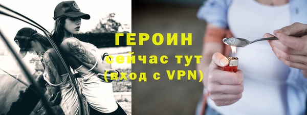 сатива Беломорск
