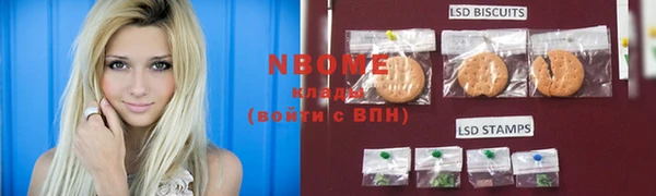 стаф Новодвинск