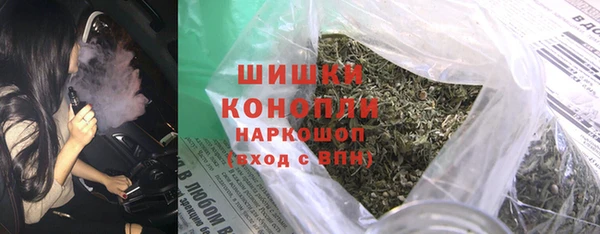 стаф Новодвинск