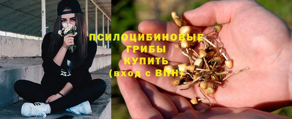 стаф Новодвинск