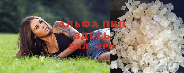 герыч Новозыбков