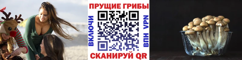 Галлюциногенные грибы Magic Shrooms  Магнитогорск 