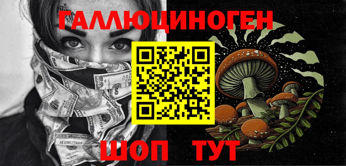 Псилоцибиновые грибы Psilocybine cubensis Магнитогорск